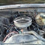 1981_buffalo-in-engine