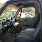 1981_buffalo-in-seat