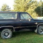 1981_buffalo-in-side
