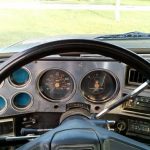 1981_buffalo-in-stearing