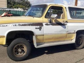 1984 stafford tx
