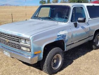 1991 falcon co