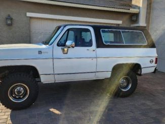 1977 goodyear az