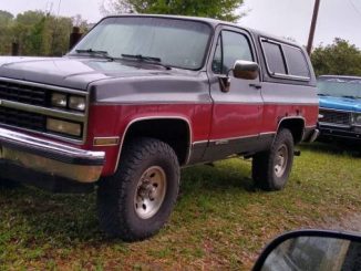 1989 pierson fl
